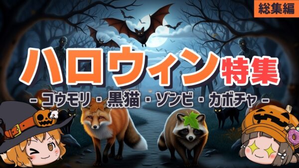 【総集編】吸血コウモリ・黒猫・ゾンビ…ハロウィンにまつわる奇妙な生き物たち