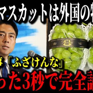 日本のシャインマスカットが海外産に？山梨知事と小泉進次郎氏がバチバチの徹底抗戦&日本の給食から豚肉が消えてムスリム食へ…【ゆっくり解説】