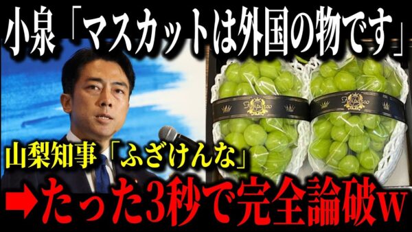 日本のシャインマスカットが海外産に？山梨知事と小泉進次郎氏がバチバチの徹底抗戦&日本の給食から豚肉が消えてムスリム食へ…【ゆっくり解説】