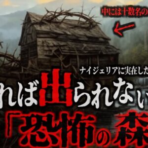 入れば生贄にされ二度と戻れない『イバダン恐怖の森』　黒魔術で次々と人間がバラバラに…次々と人が消える森…ナイジェリアで社会問題もなっている「儀式〇人」とは【ゆっくり解説】