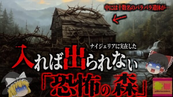 入れば生贄にされ二度と戻れない『イバダン恐怖の森』　黒魔術で次々と人間がバラバラに…次々と人が消える森…ナイジェリアで社会問題もなっている「儀式〇人」とは【ゆっくり解説】
