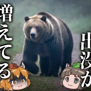 【疑問】クマの出没が増えている本当の理由とは…？