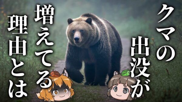 【疑問】クマの出没が増えている本当の理由とは…？
