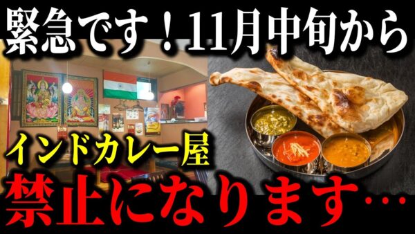 【インドカレー屋の闇】毎日ガラガラなのに絶対に潰れない！？誰も知らない収入源で成り立つ闇すぎる仕組みとは…【ゆっくり解説】