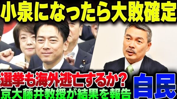 京大、藤井聡教授の元、次の総理になったら小泉進次郎になったら次の衆議院議員が大敗する予測を立ててしまう【ゆっくり解説】