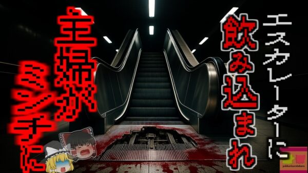 『エスカレーターに消えた主婦』エスカレーターを利用した客がパネルを踏み抜き内部に転落…回転するギアやチェーンで体がグチャグチャになり死亡…「湖北省エスカレーター転落事故」【ゆっくり解説】