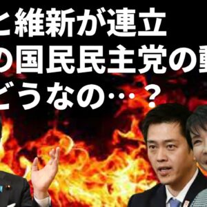 自維連立が成立！国民民主党の動きはどうだった？＆維新の提案する定数削減がクソな理由