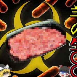 『羊の胎盤食べ感染症に』美容にいいとして胎盤食べ続けた三人が「ブルセラ病」に感染 医師『意味がないどころか危険な行為』中国の危険な伝統料理に批判の声【ゆっくり解説】