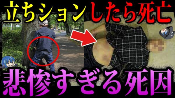 【ゆっくり解説】絶対に真似しないでください。本当にあったありえない死因