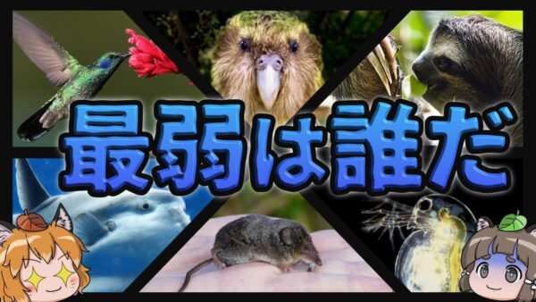 【最弱王決定戦】あまりにも最弱すぎてヤバい生き物10選