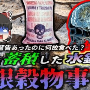 『大量の水銀入り食料を食べ死亡』干ばつによる食糧不足で輸入した穀物を配布　食べた農民たちが次々に死亡した『1971年メチル水銀中毒事件』【ゆっくり解説】