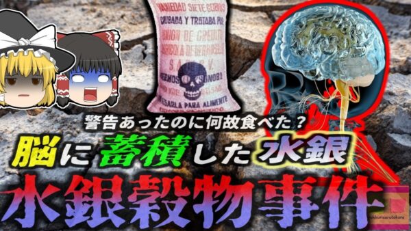『大量の水銀入り食料を食べ死亡』干ばつによる食糧不足で輸入した穀物を配布　食べた農民たちが次々に死亡した『1971年メチル水銀中毒事件』【ゆっくり解説】