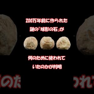 200万年前に作られた謎の球形の石が何のために使われていたのかが判明 #shorts #ゆっくり解説