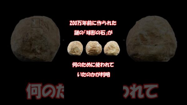 200万年前に作られた謎の球形の石が何のために使われていたのかが判明 #shorts #ゆっくり解説