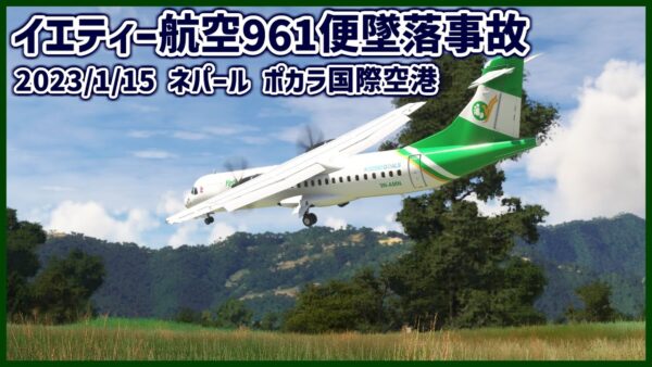 #209 レバーを間違えて操作し失速、着陸寸前に墜落│ニューギニア航空73便不時着水事故