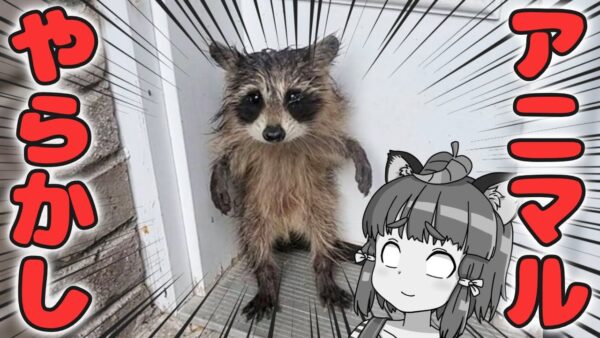 【珍事件】どうしてこうなった？動物たちのありえないトラブル6選