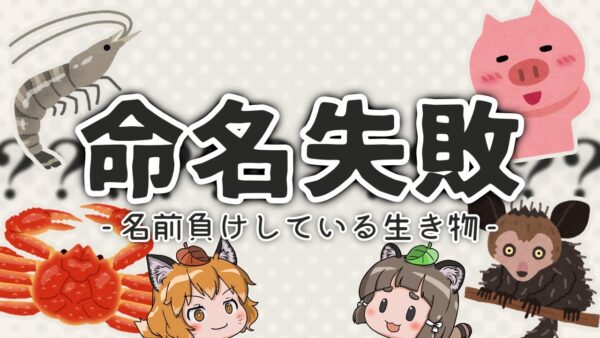 【不相応】なぜそうなった？名前負けしている生き物8選