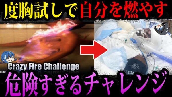 【ゆっくり解説】普通に死にます。SNSで流行している頭がおかしいチャレンジ