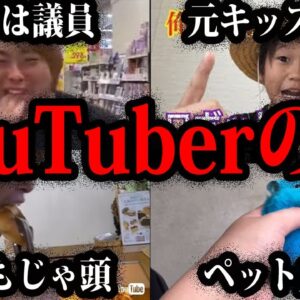 【ゆっくり解説】迷惑どころか犯罪者。YouTuberの闇 総集編