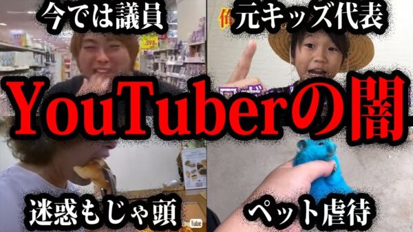 【ゆっくり解説】迷惑どころか犯罪者。YouTuberの闇 総集編