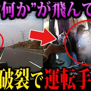 【ゆっくり解説】あなたも巻き込まれるかもしれない、本当にあった最悪の死因