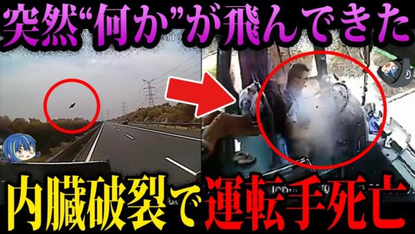 【ゆっくり解説】あなたも巻き込まれるかもしれない、本当にあった最悪の死因