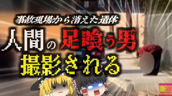 『人間の足を食べ歩いているヤツがいる』列車事故現場近くで人間の足を食べている様子が映りこむ…当初は見間違いかと思われたが調査したところ…『ワスコ市カニバリズム事件』【ゆっくり解説】