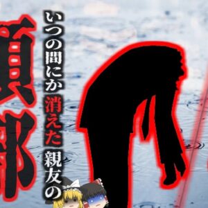 『気がついたら親友の頭がなかった』友人を車で送った男性　  知らない間に助手席の友人が「斬首」状態に…運転中に一体何があった？「ジョージア州泥酔運転斬首事件」　 【ゆっくり解説】