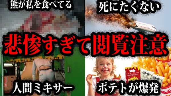 【ゆっくり解説】悲惨すぎて閲覧注意。本当にあったヤバすぎる事故総集編