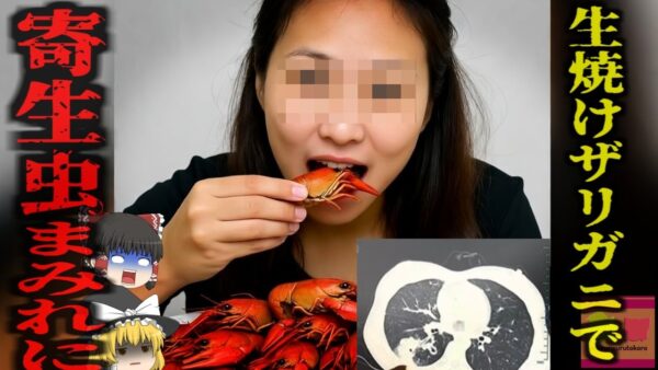 『ザリガニで肺が穴だらけに』大量のザリガニを食べた女性　発熱や吐血、呼吸困難などを発症し検査を受けると…『長沙市肺吸虫感染』【ゆっくり解説】