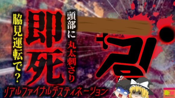 『運転中に丸太が突き刺さり即死』運転中の女性が前方トラックに積まれていた「丸太」で頭が吹き飛ぶ…『フロリダ州ログ追突事故』【ゆっくり解説】