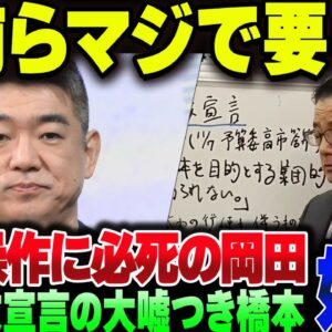 立憲の岡田克也に媚中コメンテーターの橋下徹、君たちいらないよマジで