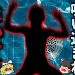 『小学生女子が排水口に吸い込まれ死亡』実はアメリカでも起きていた悲惨なプール事故…お尻が完全に吸水口に吸い込まれ、大人でも外せない状態に…『バージニア州ホットタブ溺死事故』【ゆっくり解説】