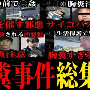 【ゆっくり解説】疲れてる人は閲覧禁止。胸糞悪い事件・犯罪者総集編