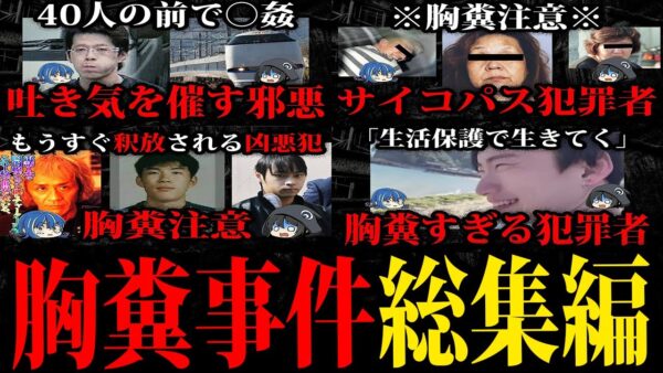 【ゆっくり解説】疲れてる人は閲覧禁止。胸糞悪い事件・犯罪者総集編