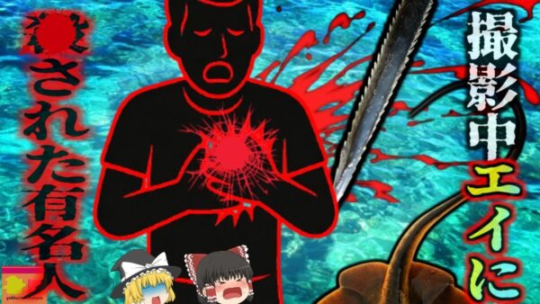 『撮影中エイに刺され死亡』熱心な動物愛好家がエイに近づき過ぎた結果、毒針で心臓を貫かれ死亡…『グレートバリアリーフエイ刺傷事件』【ゆっくり解説】