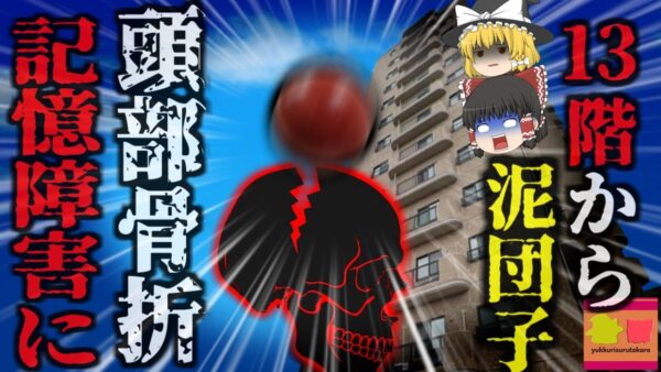 『いたずらで投げた泥団子で重症負わせ炎上』マンションの13階から男児が泥団子投げた結果、地上の男性の頭部に直撃 衝撃は2Lボトル11本分にも…『熊本男児泥団子事件』【ゆっくり解説】