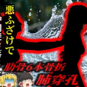 <span class="title">『は？ふざけただけじゃん！！』友人を地上18mの橋から突き落とした少女 肺に穴をあける重傷を負わせ大炎上 有罪判決を受け服役することに…【ゆっくり解説】</span>