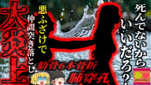 『は？ふざけただけじゃん！！』友人を地上18mの橋から突き落とした少女 肺に穴をあける重傷を負わせ大炎上 有罪判決を受け服役することに…【ゆっくり解説】