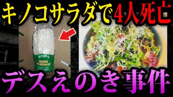 【ゆっくり解説】きのこサラダで4人死亡。絶対に真似してはいけないデス食品事件