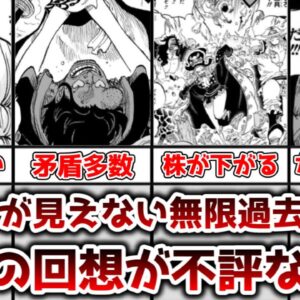 <span class="title">【ゆっくり解説】終わりが見えない無限過去回想ループ ロキの過去回想が不評な理由を徹底解説【ONE PIECE（ワンピース）】</span>