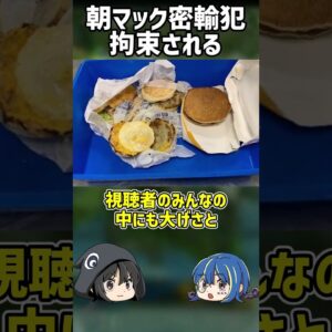 <span class="title">【ゆっくり解説】朝マック密輸男の末路 #shorts #mcdonalds #ゆっくり解説 #解説 #雑学</span>