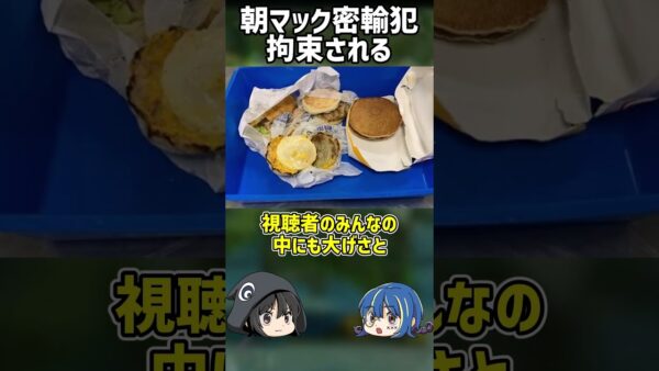 【ゆっくり解説】朝マック密輸男の末路 #shorts #mcdonalds #ゆっくり解説 #解説 #雑学