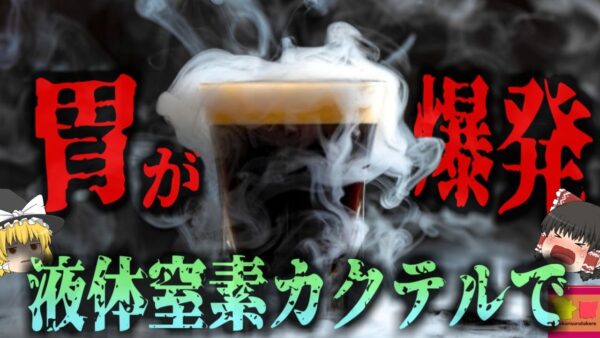 『液体窒素カクテルで胃が爆発』誕生パーティーで提供された、”煙が出るカクテル”を飲んだ高校生の胃が爆発。胃を失った少女の悲劇…『ニトロ・イエーガー胃破裂事故』　【ゆっくり解説】