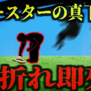 <span class="title">『帽子を拾おうとして即死』ジェットコースターから落ちた妻の帽子を拾おうとした夫 高速移動中の乗客の”足”に蹴られ頭部が…『カリフォルニアズグレートアメリカコースター激突事故』【ゆっくり解説】</span>