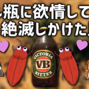 【え？】ビール瓶に欲情して絶滅しかけた虫を知ってますか？【ニセフトタマムシ】