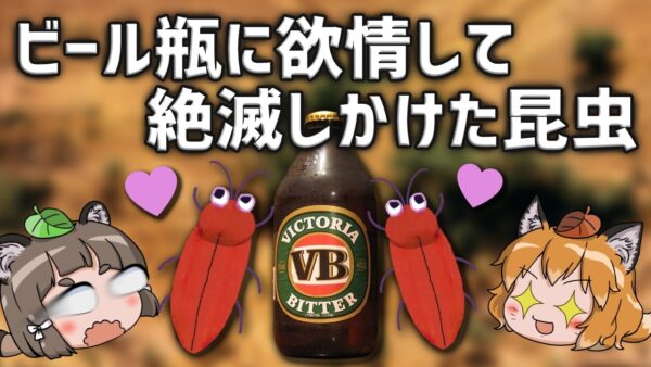 【え？】ビール瓶に欲情して絶滅しかけた虫を知ってますか？【ニセフトタマムシ】