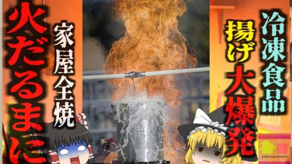 『七面鳥を揚げようとして自分が揚げ焼きに』感謝祭でまるごと七面鳥を揚げようとした女性 目の前で水蒸気爆発が起き火だるまに…【ゆっくり解説】