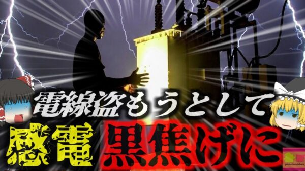 『電線盗もうとして内側から焼けて死亡』変電所でケーブルを盗もうとした男性 電線を切ろうとし高電圧により感電死…『変電所窃盗未遂感電死事件』【ゆっくり解説】