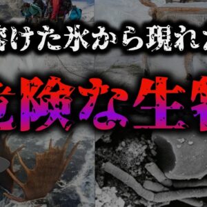 【ゆっくり解説】永久凍土から発見されたヤバい病原体